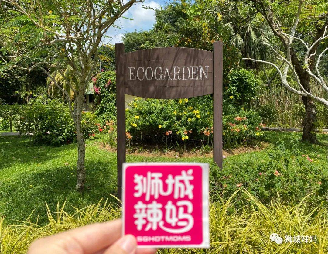 送門票!新加坡科學中心【4月地球日】瘋送禮物,全家嗨翻天