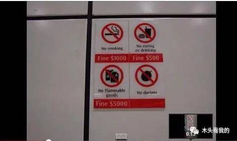 有什麽是你去過新加坡才知道的