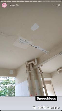 新加坡网红在反对党执政选区生活:“确实与众不同”