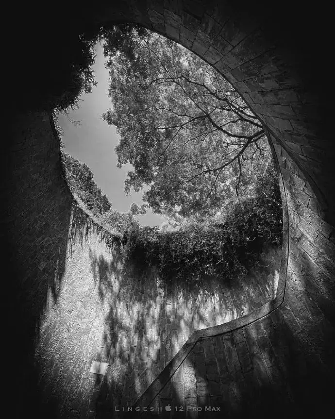 對不起,新加坡變了!“2021年最後一天,我突然想起這50個瞬間”