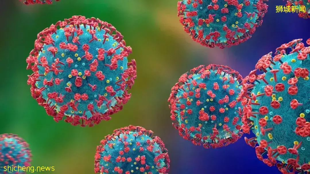 新加坡夫妇欧洲游:妻子死前疑似新冠症状、花重金遗体防腐被骗