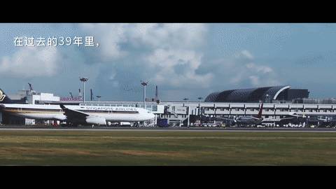 新加坡:歡迎中國的朋友們來訪,這裏很安全