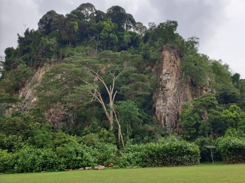 九九重阳,登高敬老。你爬过新加坡最高的山吗?俯瞰狮城的最高点