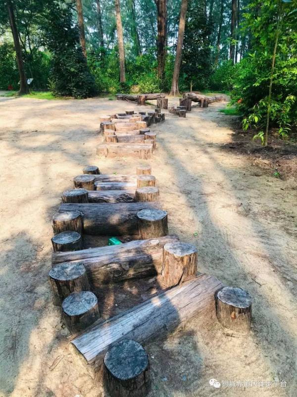 2020年1月4日星期六夕阳徒 - 巴西立公园至榜鹅