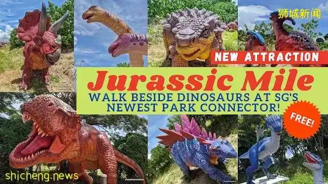 超级奶爸!带着2岁女儿骑行17小时166公里,环游新加坡