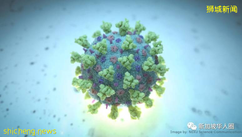 李显龙总理:新加坡迈向与冠病共存之路,盼一路尽可能减少死亡