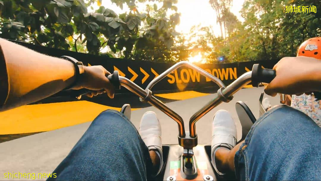 不一樣的賽車😎 聖淘沙天際滑車“Skyline Luge”一次只要S$7.50💥 乘坐高空吊椅登山一路狂飙