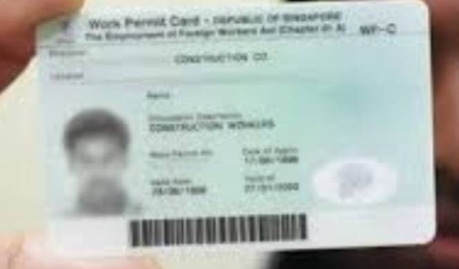 生育率僅1.1創新低、人口危機下的新加坡,要對這些外國人放開PR政策