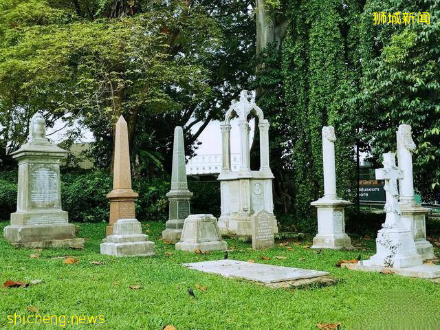 綠色天窗？巨型樹洞？看看新加坡淨化心靈“龍之穴”