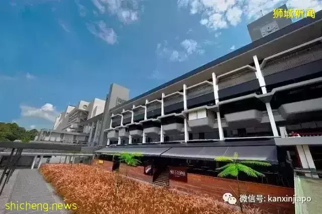 全球最贵,没有之一!中国买大奔的钱,在新加坡也就能买几个轮子