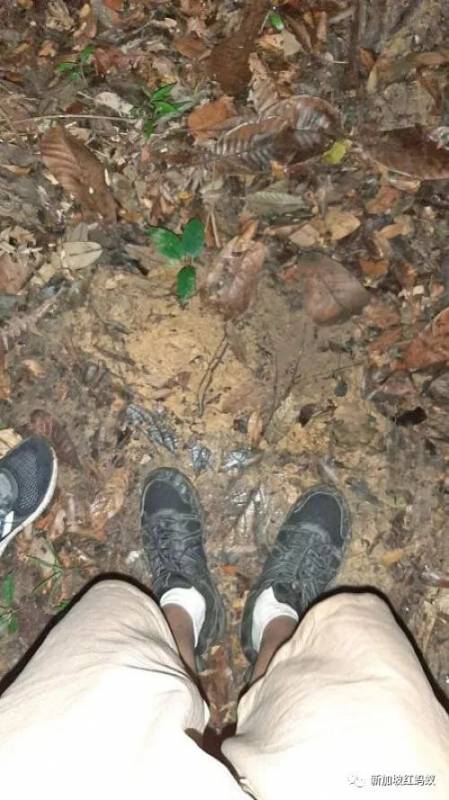 兩中學男生爲尋找日本神社遺址，在新加坡蓄水池森林迷路“神隱”