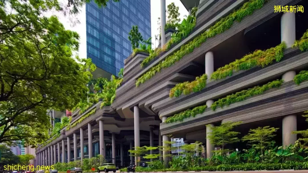 新加坡全面解封，莱佛士梅开二度、艾迪逊首秀，太让人期待