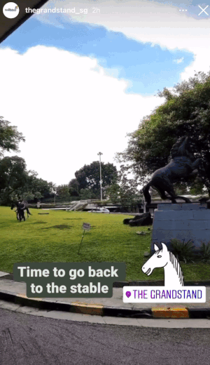 新加坡富人區驚現一匹黑馬奔騰!網友表示:好羨慕花園城市