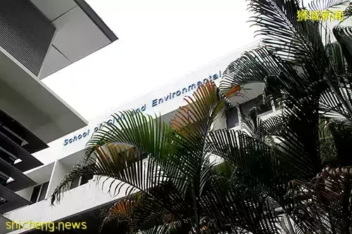 这名中国籍NTU研究员,在新加坡偷拍了400多人裙底后被判坐牢