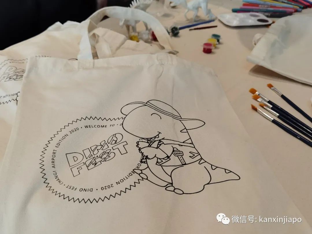 今增4，新加坡连续9天无本地病例，史上首次 | 樟宜机场冰雪仙境，抢鲜体验