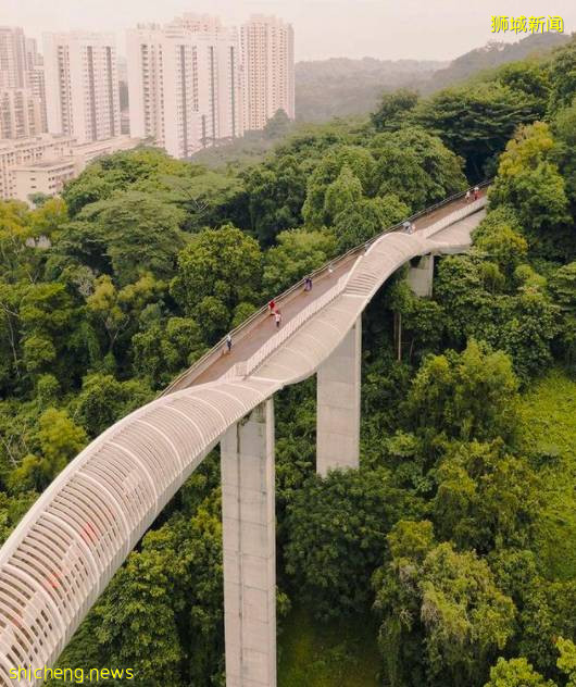 玩在獅城 盤點全島這15個免費景點，讓你玩的省錢又開心