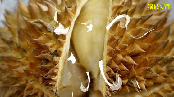 吃貨必讀!新加坡最出名的四大美食是哪些