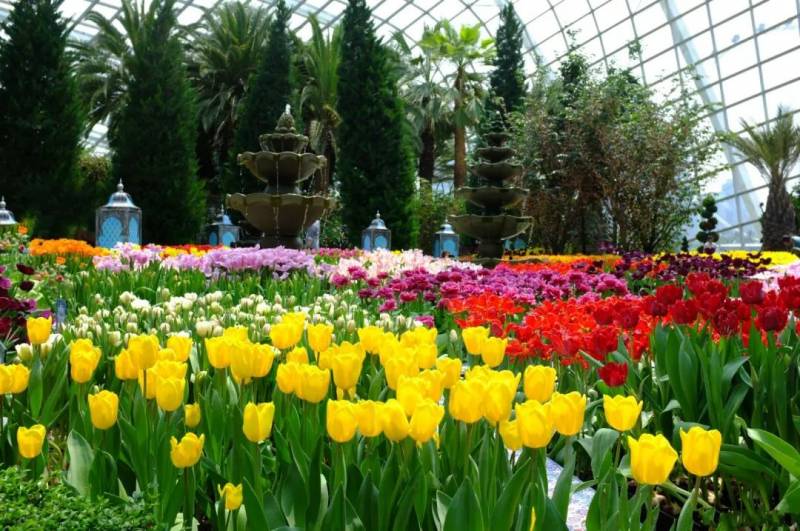 【新加坡景點指南】新加坡15個好玩兒的最受歡迎的景區景點,獨具特色