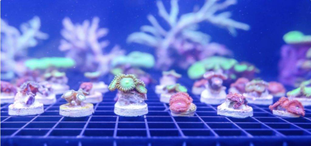 家長必備!2020聖誕🎄遛娃攻略!8個超精彩親子活動,好玩不重樣