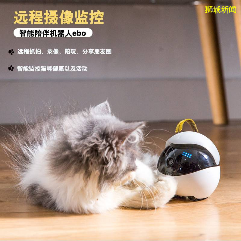 淘寶邀請你去未來看一看!2020淘寶造物節狂拽酷炫屌炸天神物大點評,新加坡還有超級折扣!Hello Future