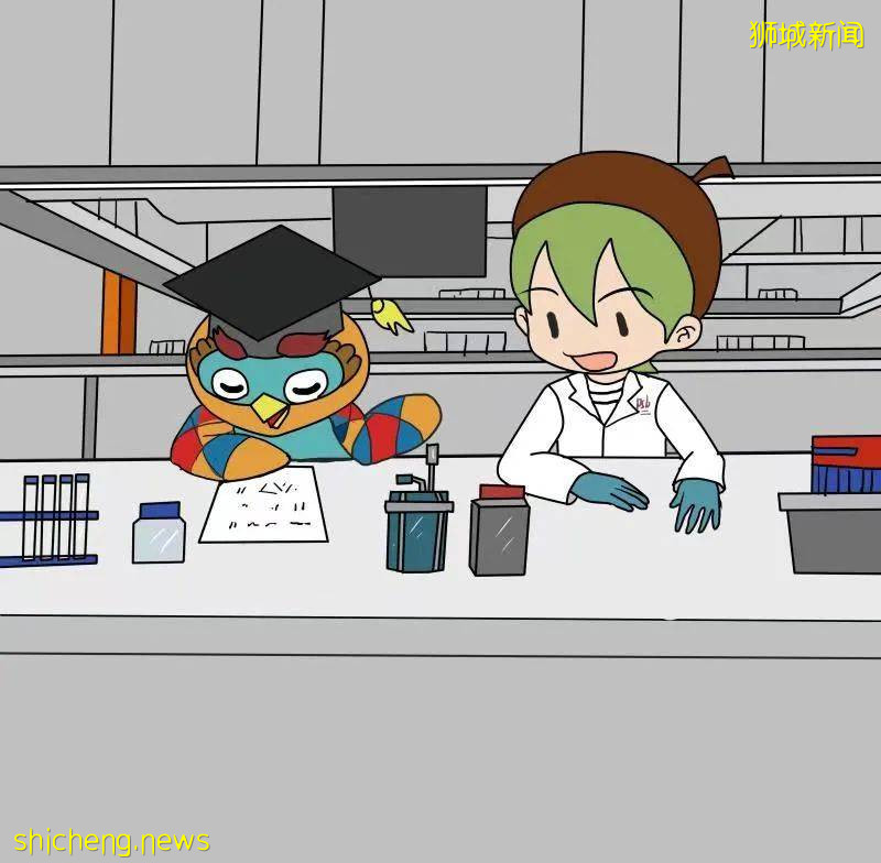 太爽了！在新加坡留學，居然可以這樣過一天