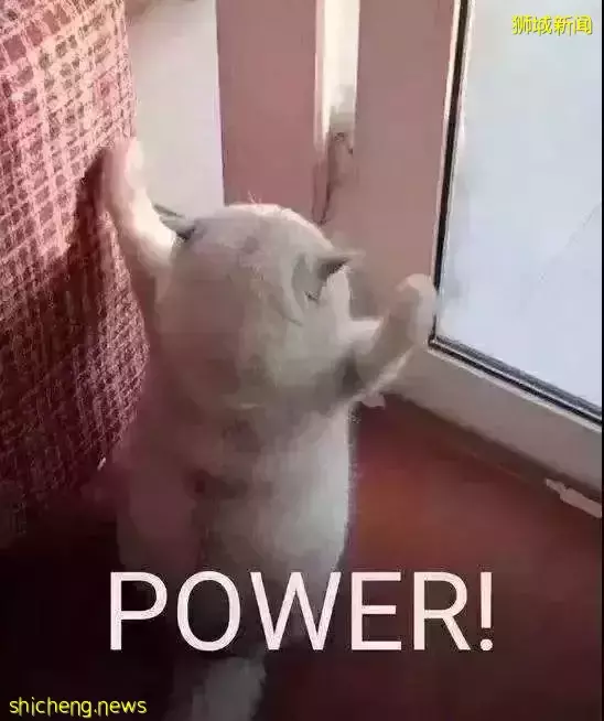 2022全球金融碩士排名出爐!新加坡管理大學SMU挺進TOP40