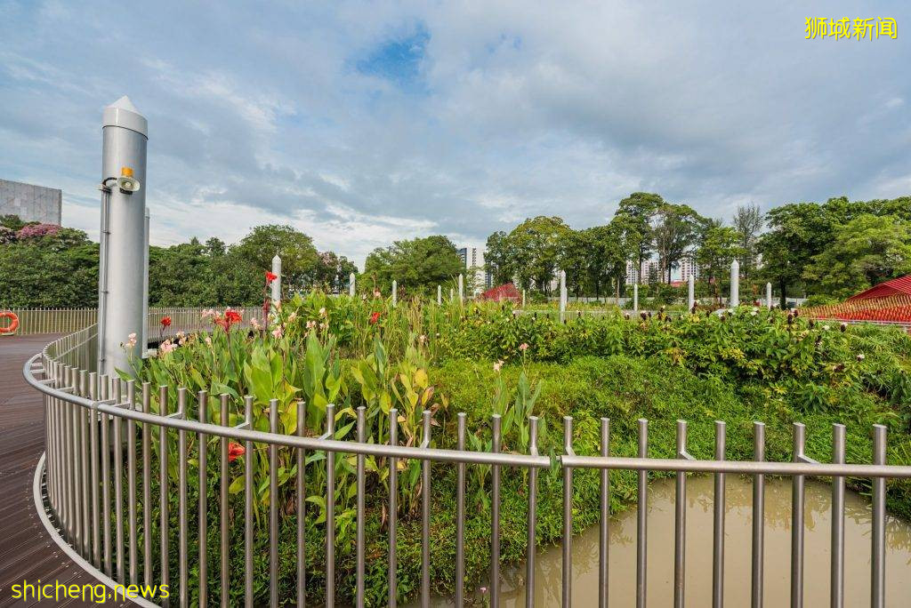 新加坡最大的人造浮动湿地开放!ABC Waters @ Jurong Lake📌设有木板路+凉亭,徒步+钓鱼新去处😎