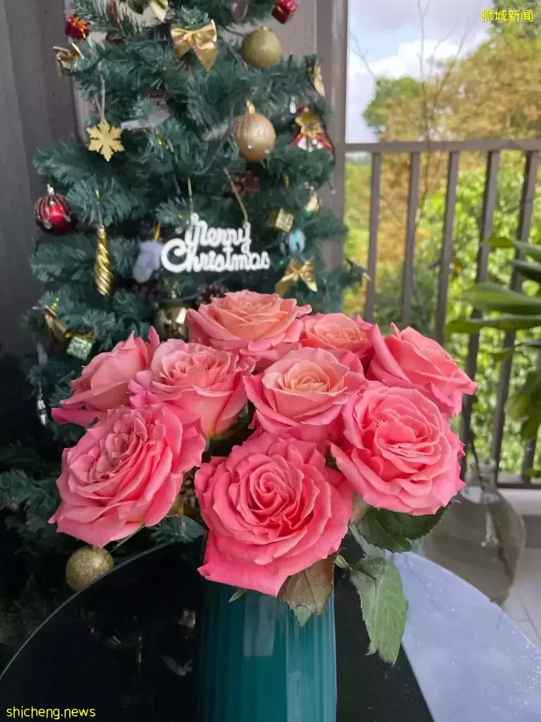 鮮花在熱帶也能養1個月？資深花友新加坡買花、養護大揭秘