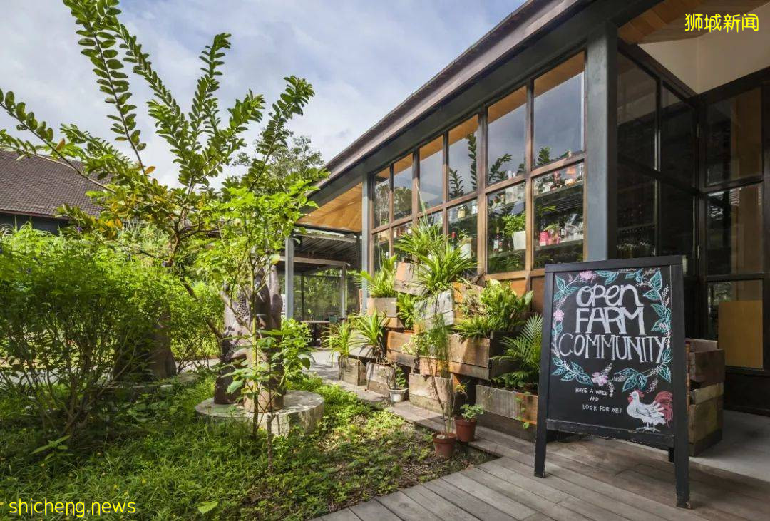 新加坡網紅 Brunch 推薦