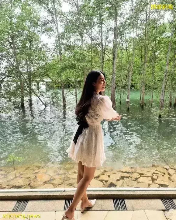 新加坡南部要建新公园,占地200公顷!这些地方太美了打卡必去