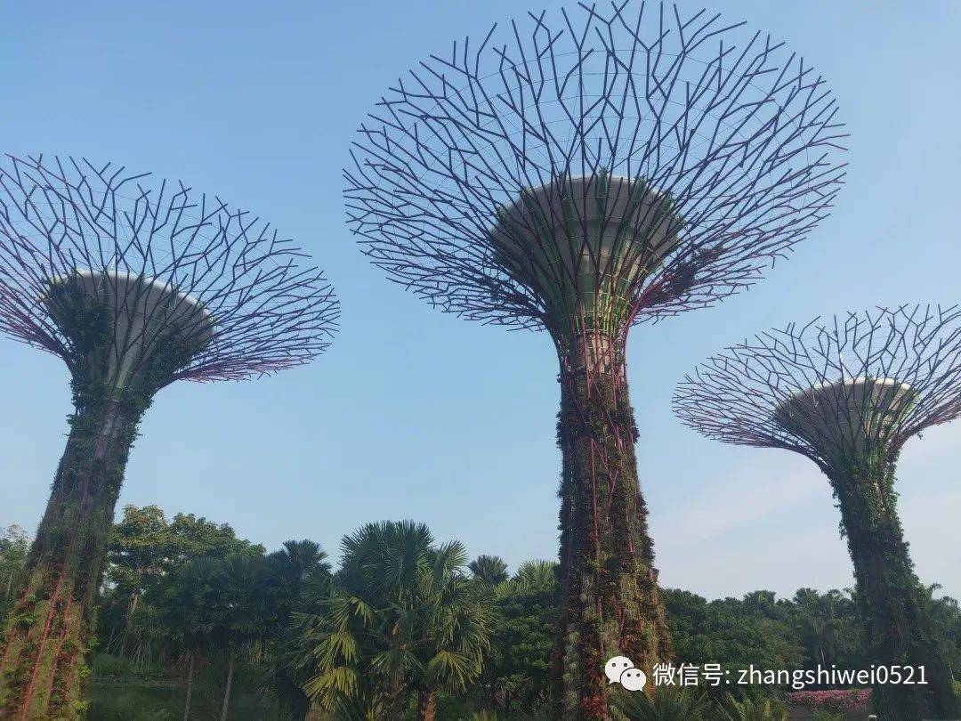 新加坡遊記系列 常規又不常規的獅城遊覽