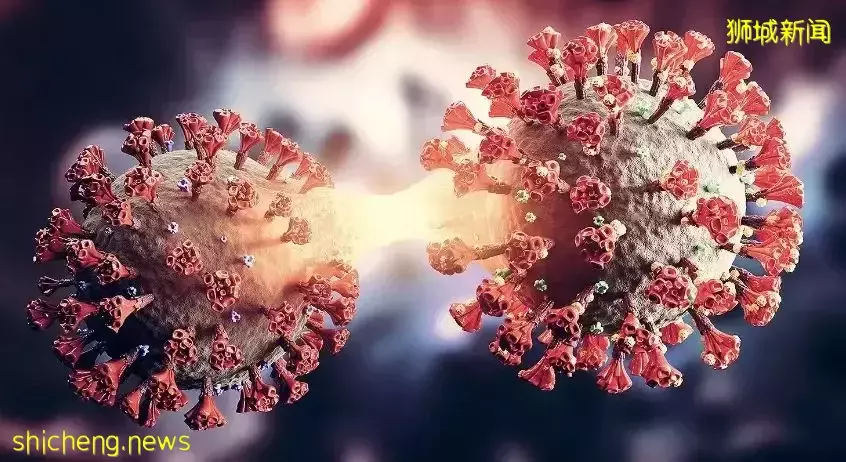 曝28天最快二次感染新冠、症狀更重!新加坡總理夫人:別以爲病毒越變越溫和