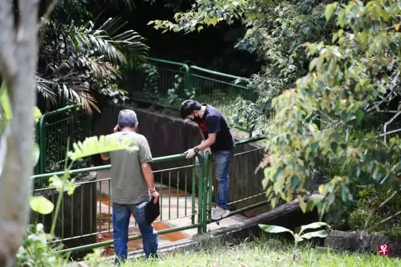 武吉知马双尸案追踪:11岁双胞兄弟遗体火化,车头照一张是背影一张是侧影