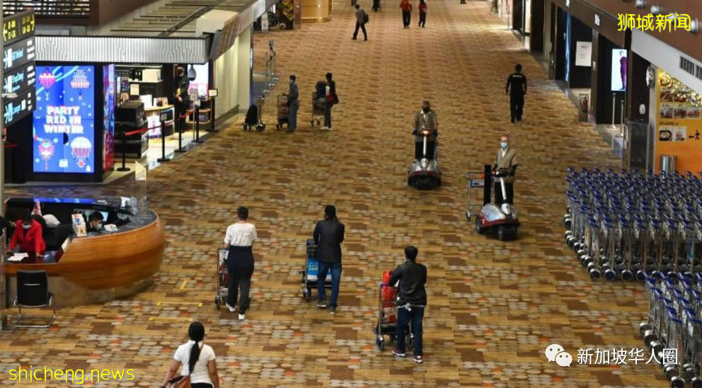 近期新加坡约91%感染印度变种毒株！输入病例导致社区大面积传播