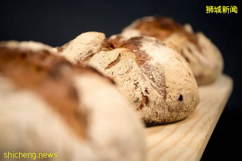 科普帖｜獅城常見的歐式面包種類，你嘗試過幾種!