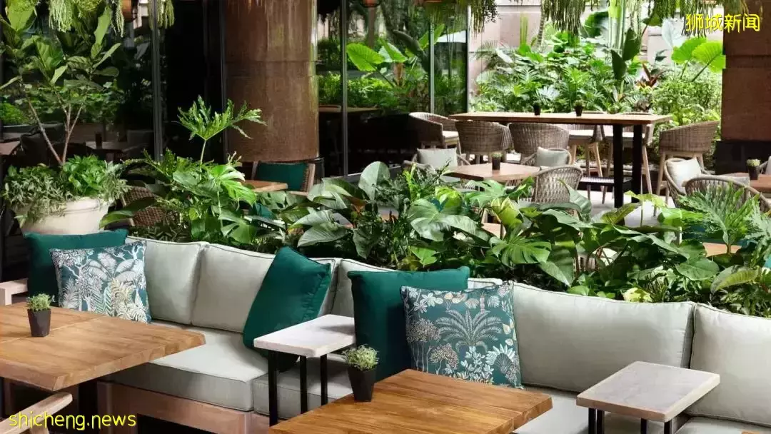 新加坡15间绝美植物主题餐厅,打卡喧嚣闹市里的绿野仙踪