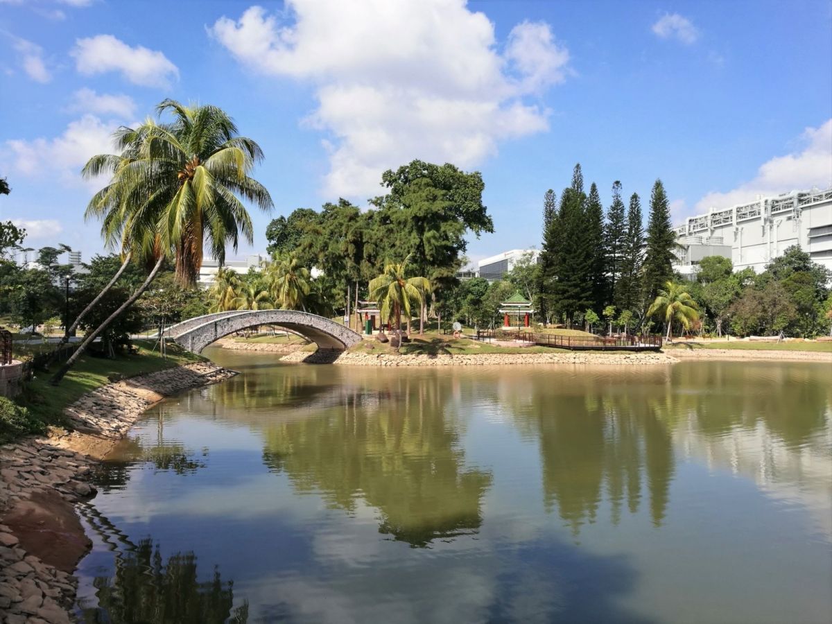 紮吉哈:已要求公園局檢查馬西嶺公園的樹木和設施