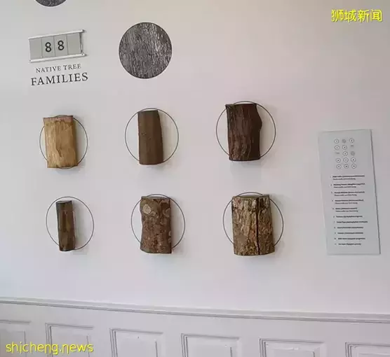 隐藏在葱葱绿树里!新加坡闹市区有个网红景点,百年前竟是大使馆