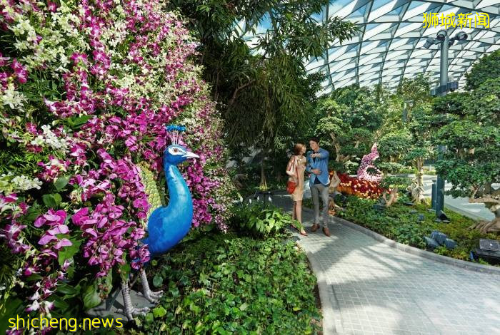 新加坡，星耀樟宜 (Jewel Changi Singapore)