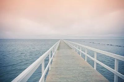 全程记录，再见新加坡！“我辞了职，彻底回国了。机票10000块！”