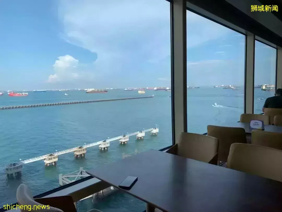 羡慕!一家四口5天4夜坐豪华邮轮免费,攀岩、冲浪、蹦极、跳伞,数不尽的美食和表演