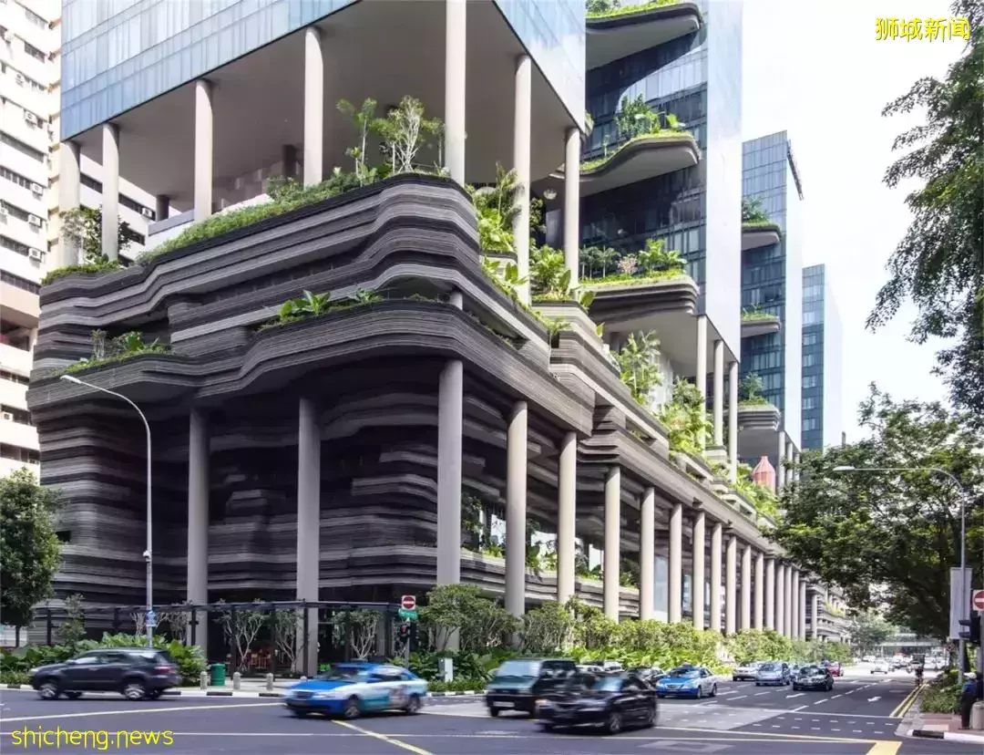 新加坡皮克林賓樂雅花園酒店 / Tierra Design (S) Pte Ltd