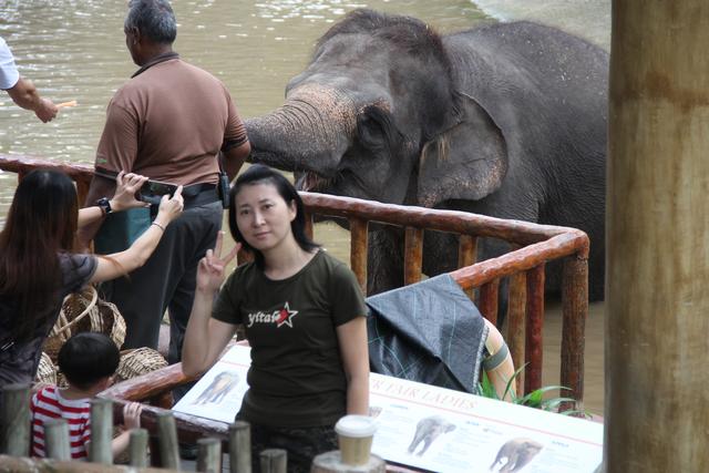 世界十大动物园之一：新加坡动物园，确实不一样