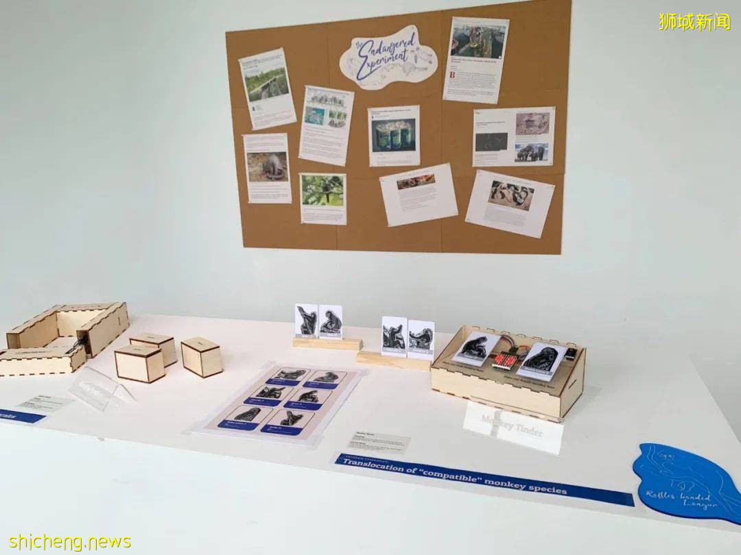 “In New Light” 2021年 NTU ADM 畢業生作品展覽正在進行中