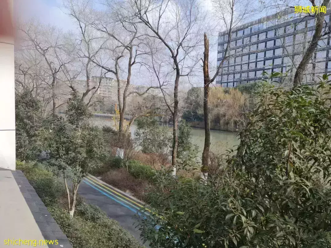 “这个春节,我终于从新加坡回到了中国”