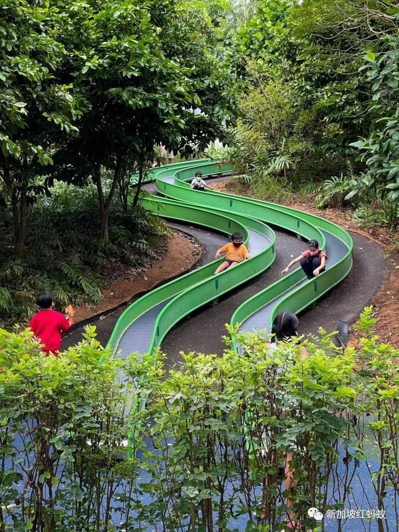 放年假的李顯龍總理不能出國,跑去新加坡這些地方打卡