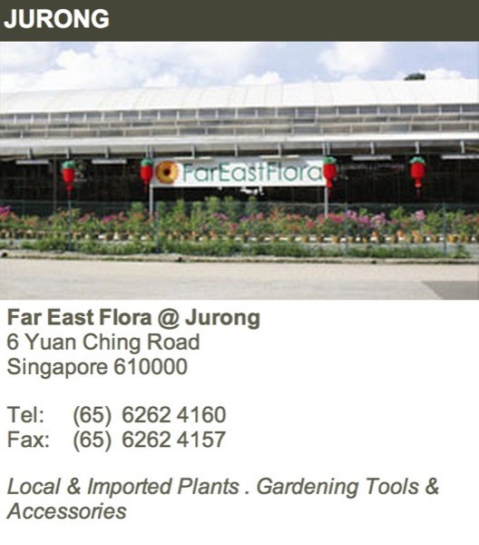 Screen Shot 2014-07-02 at 12.12.24 am