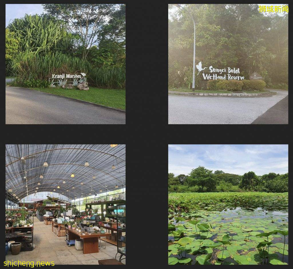 探索Sungei Buloh更便捷新方式：1块钱的Shuttle Bus又回来了