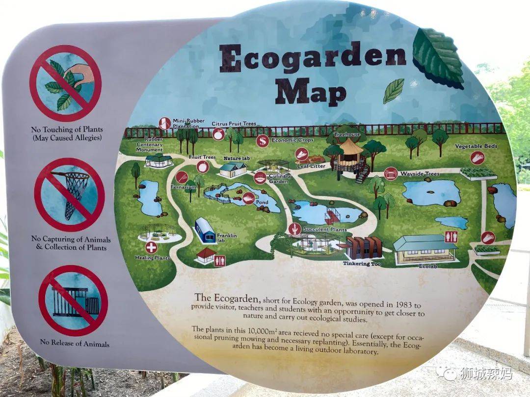 送門票!新加坡科學中心【4月地球日】瘋送禮物,全家嗨翻天