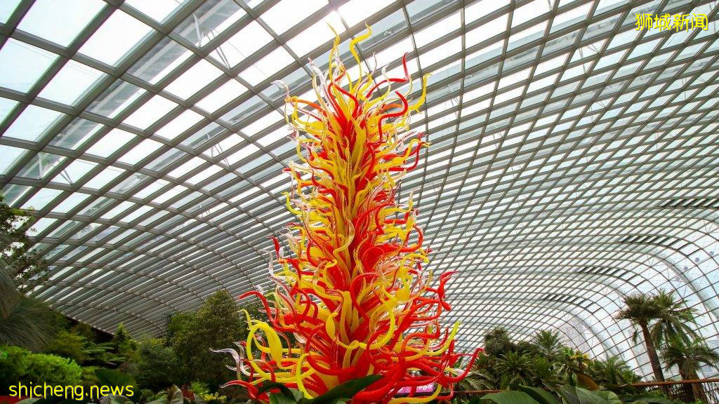 滨海湾花园季票只要S$20!无限次进入Flower Dome、Cloud Forest!限时售卖至9月12日